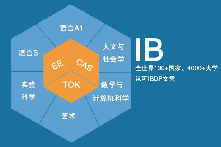 国际IB课程及考试介绍