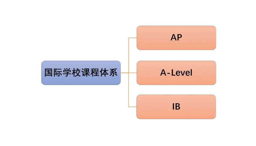 国际学校都开始哪些课程？