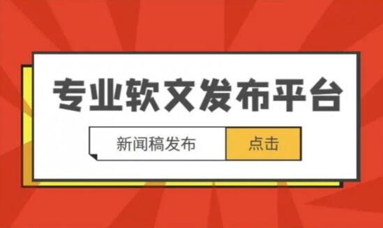 搜索收录、排名