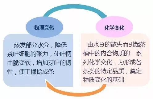 {90E75008-C9F3-4fc7-AA5E-751E3DAA0588}.png