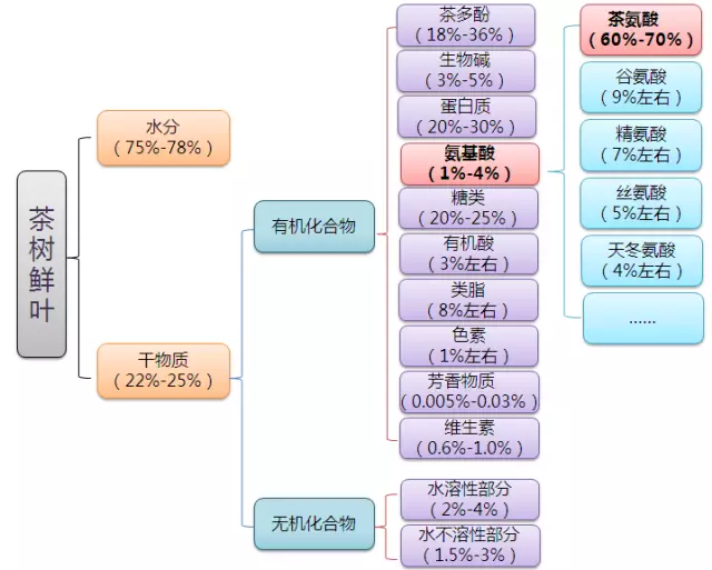 VIP【茶知识】氨基酸与茶叶品质