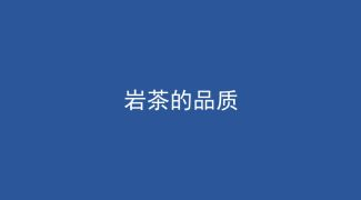 VIP岩茶的品质：滋味、香气