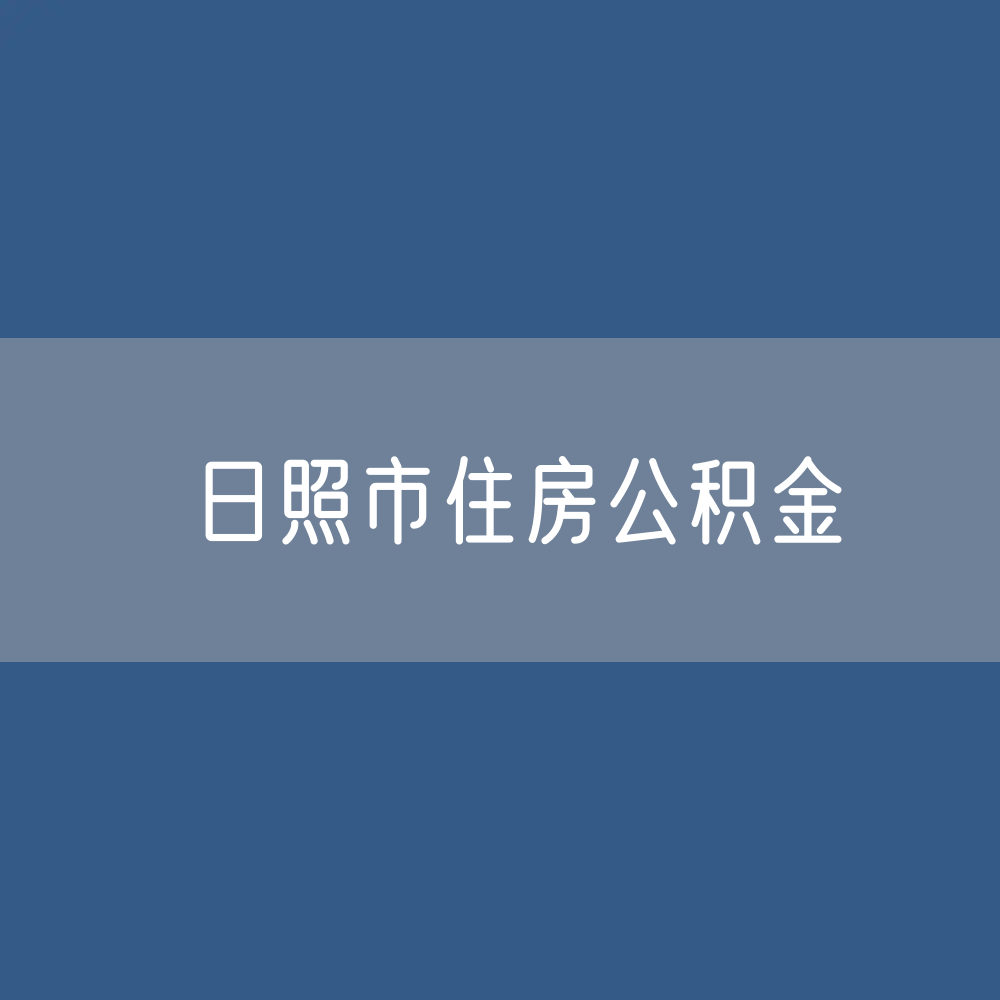 日照市住房公积金缴存提取贷款数据