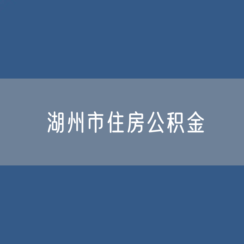 湖州市住房公积金缴存提取贷款数据