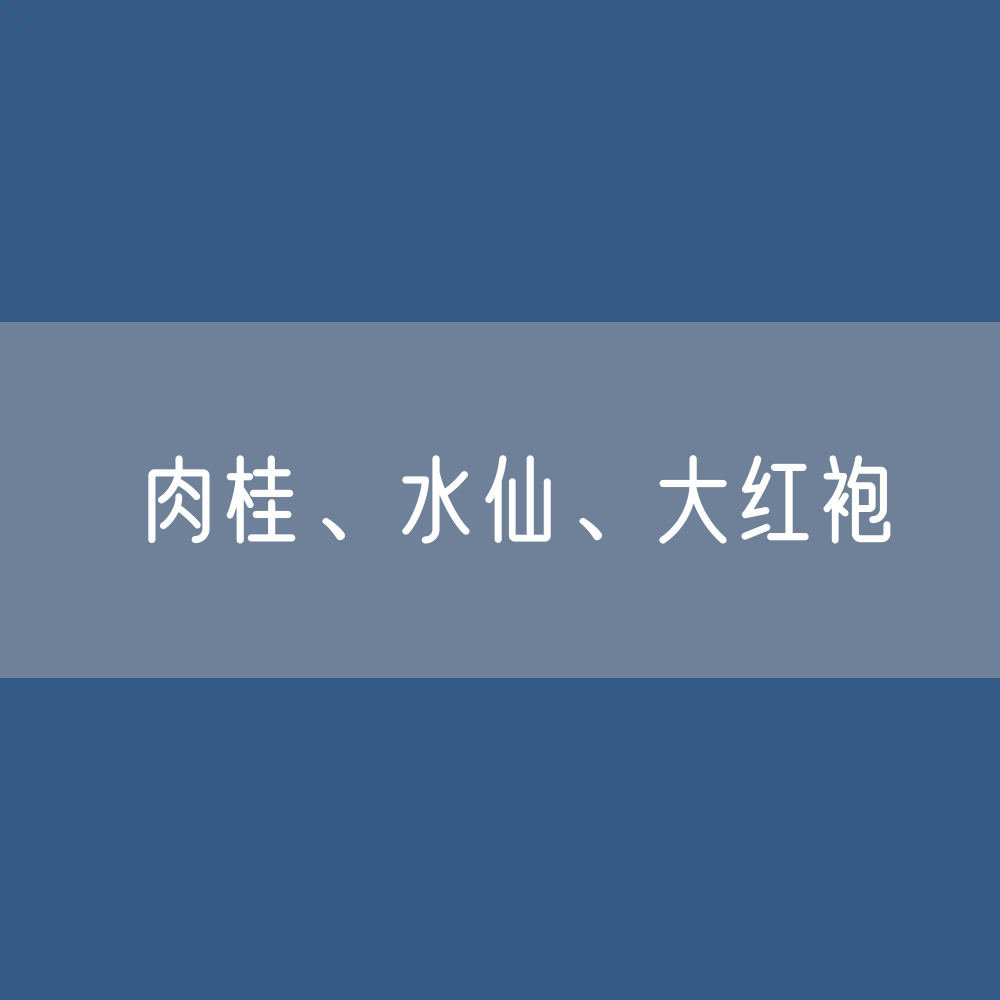 如何区分肉桂、水仙、大红袍？