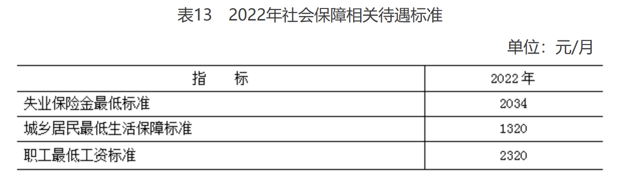 表13　2022年社会保障相关待遇标准