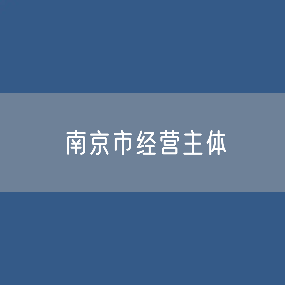 南京市经营主体有多少户？