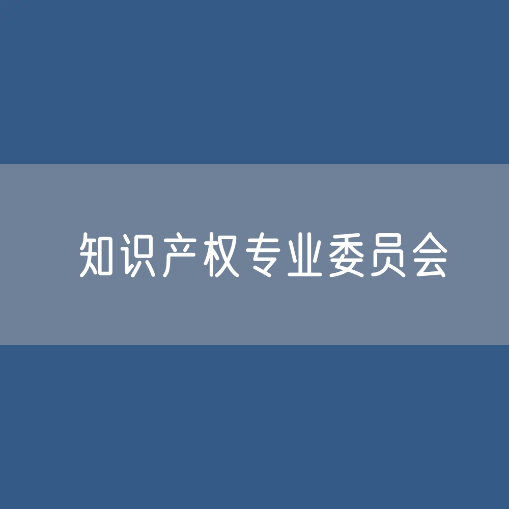 第十届中华全国律师协会知识产权专业委员会