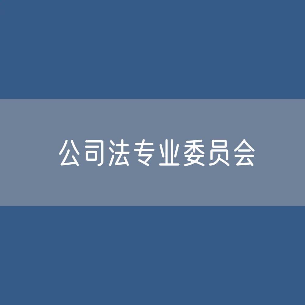 第十届中华全国律师协会公司法专业委员会