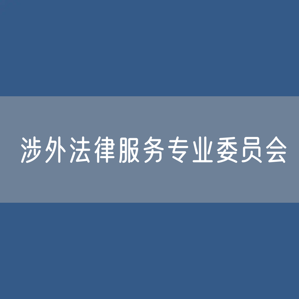 第十届中华全国律师协会涉外法律服务专业委员会