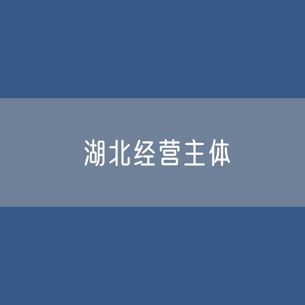 湖北全省经营主体有多少？