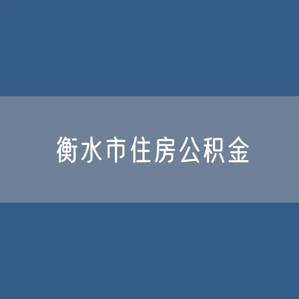 衡水市住房公积金缴存提取贷款数据