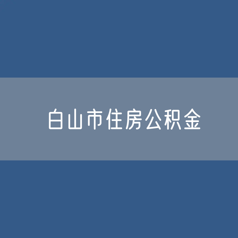 白山市住房公积金缴存提取贷款数据