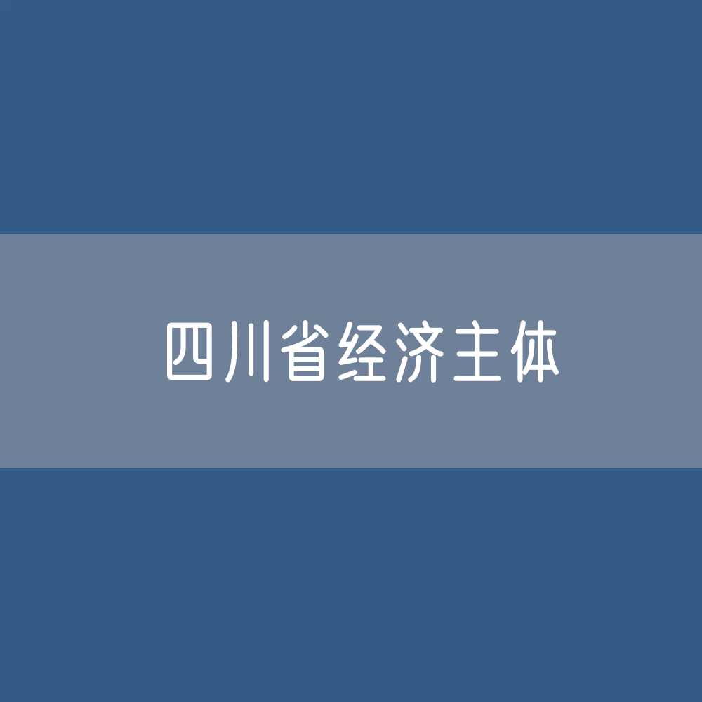 四川省有多少经济主体？