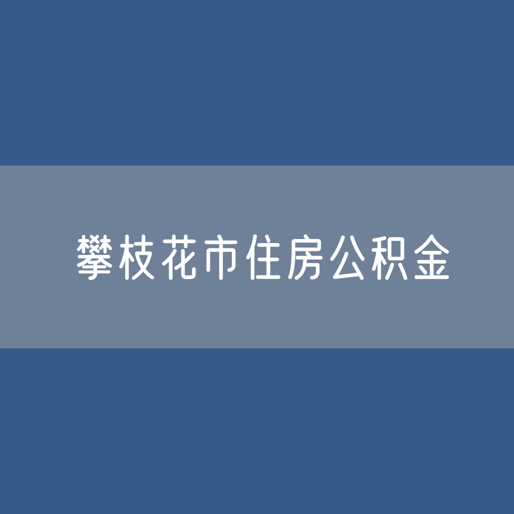 攀枝花市住房公积金缴存提取贷款数据