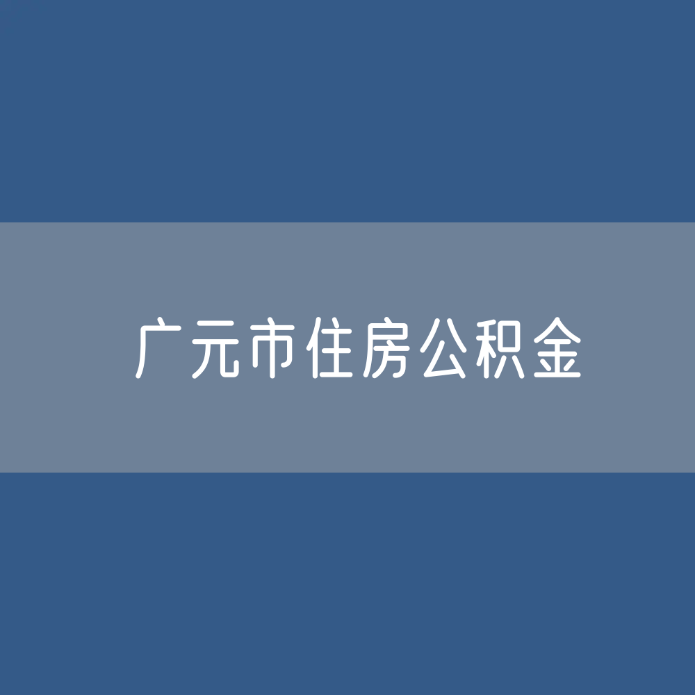 广元市住房公积金缴存提取贷款数据