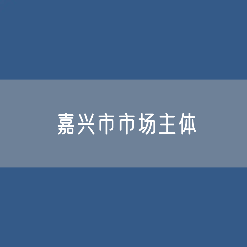 嘉兴市有多少市场主体？