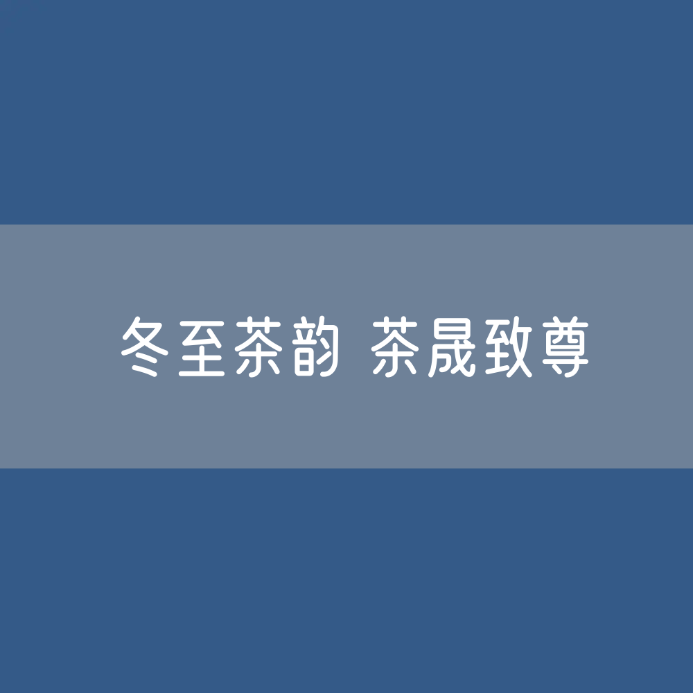 冬至武夷茶韵 茶晟致尊