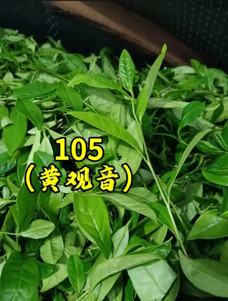 微信图片_20250304141509.png