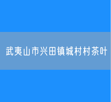 武夷山市兴田镇城村村茶叶