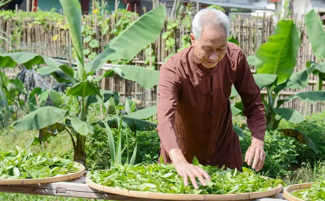 国家级非遗制茶大师张兴裕