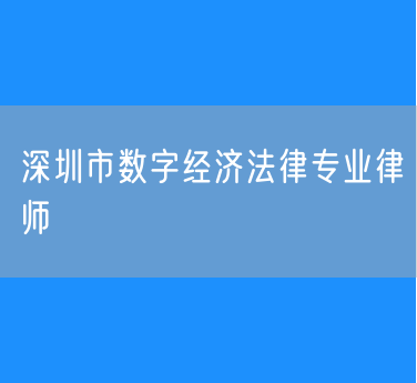 深圳市数字经济法律专业律师