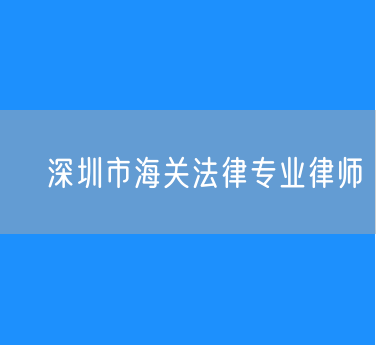 ​深圳市海关法律专业律师
