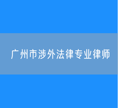 广州市涉外法律专业律师