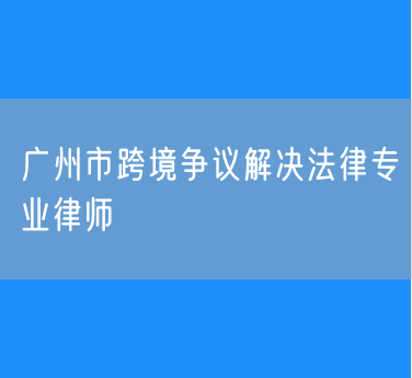 广州市跨境争议解决法律专业律师