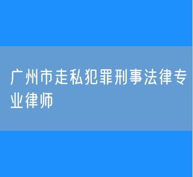 广州市走私犯罪刑事法律专业律师