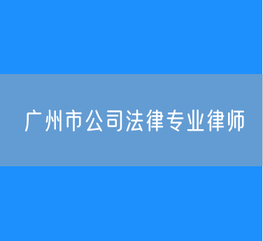 广州市公司法律专业律师