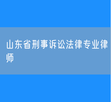 山东省刑事诉讼法律专业律师