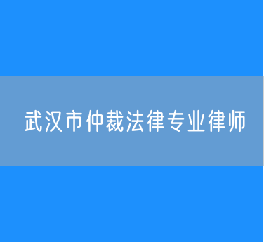 武汉市仲裁法律专业律师