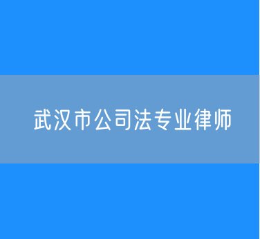 武汉市公司法专业律师