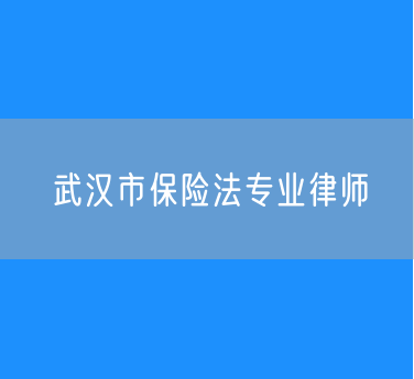武汉市保险法专业律师