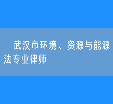 ​武汉市环境、资源与能源法专业律师