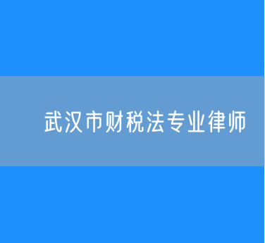 ​武汉市财税法专业律师