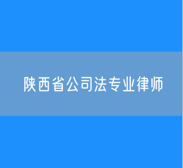 陕西省公司法专业律师