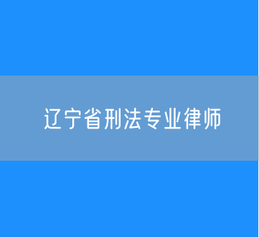 辽宁省刑法专业律师