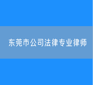 东莞市公司法律专业律师