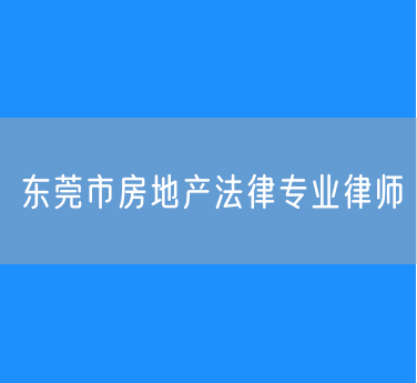 东莞市房地产法律专业律师