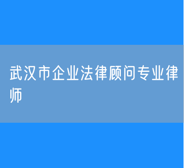 武汉市企业法律顾问专业律师