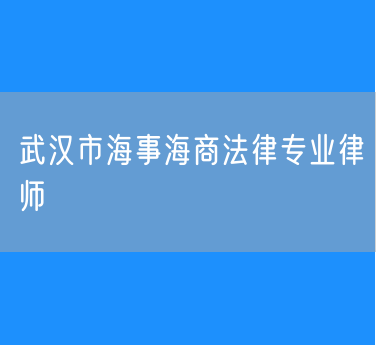 武汉市海事海商法律专业律师
