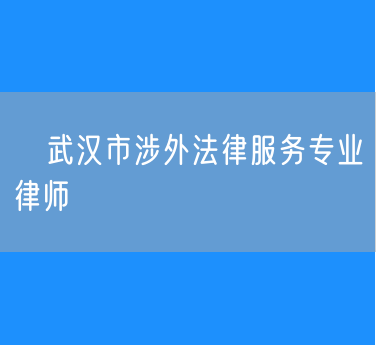 ​武汉市涉外法律服务专业律师
