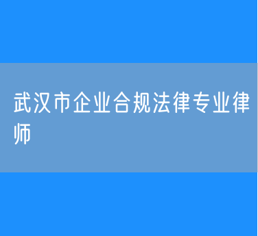 武汉市企业合规法律专业律师