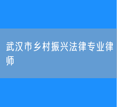 武汉市乡村振兴法律专业律师