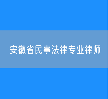 安徽省民事法律专业律师