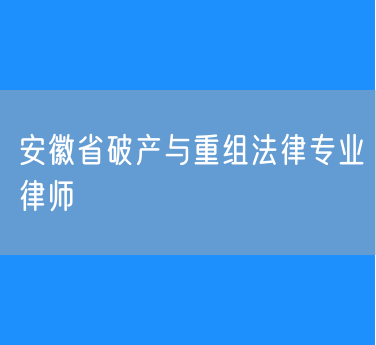安徽省破产与重组法律专业律师
