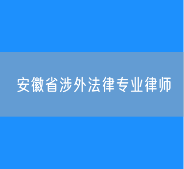 安徽省涉外法律专业律师