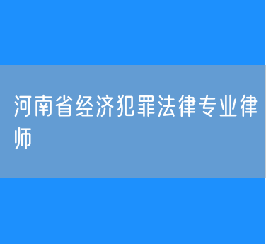 河南省经济犯罪法律专业律师
